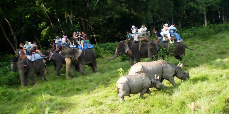 Chitwan Jungle safari tour Nepal 