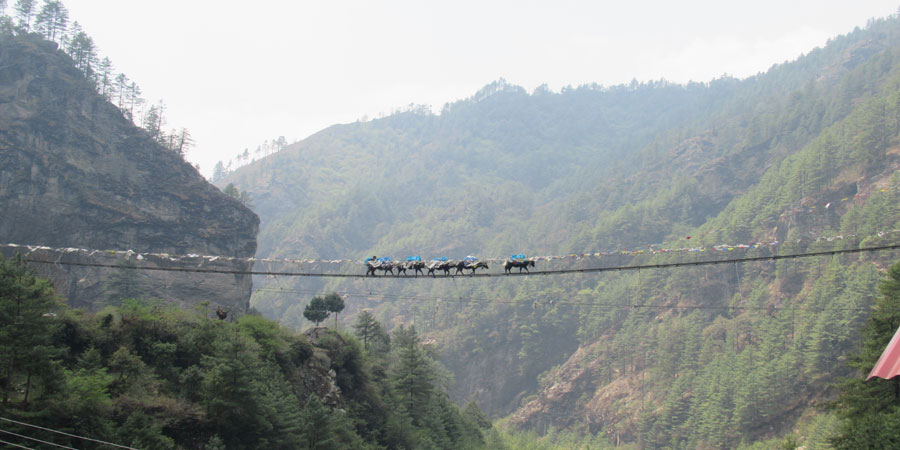 Nepal will no longer be on the red list for entering England 