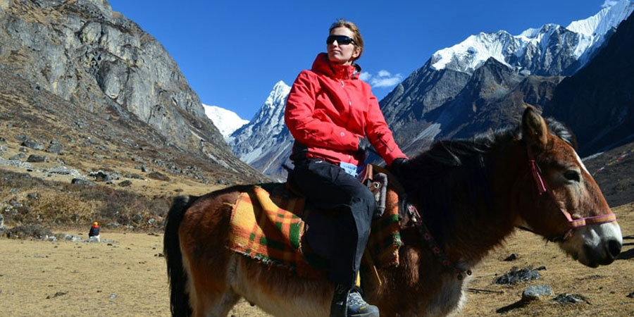Pony trekking in Nepal