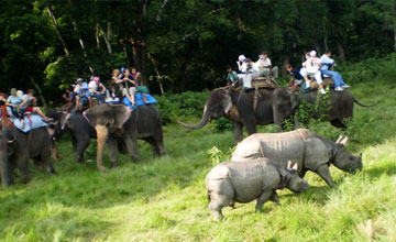 Chitwan Jungle safari tour Nepal 