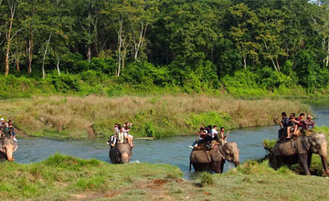 Jungle Safari tour in Nepal