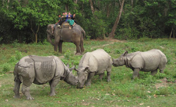 Kathmandu Chitwan Pokhara tour